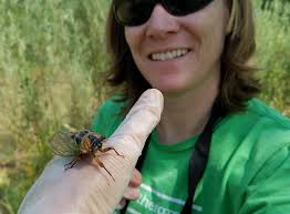 CLIMATE ACTIONS WORTH DEFENDING