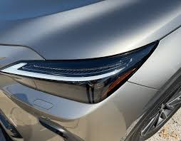 Image result for Atomic Silver 2025 LZ