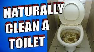 How To Remove Hard Water Stains From A Toilet 3 Effective Techniques