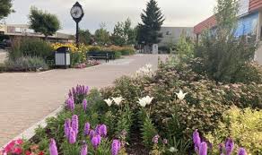 Go back (search by area). Communities South Cariboo 100 Mile House