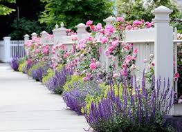 5 Inspiring Ways To Create A Cottage Style Garden Town Country Living White Picket Fence Rose Vine Fence By Cottage Garden Gorgeous Gardens Dream Garden