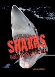 What makes the difference is the kind of questions you ask. How Much Do You Know About Sharks Take Our Shark Week Quiz To Test Your Knowledge Firefly Books Blog