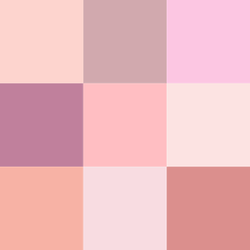 Shades Of Pink Pink Color Schemes Light Red Color Color Shades