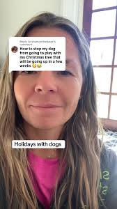 What Do I Do If My Dog Drinks The Christams Tree Water