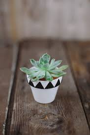What kind of paint do you use on plastic flower pots? 3 Easy And Fun Diy Painted Flower Pot Projects Mohawk Home