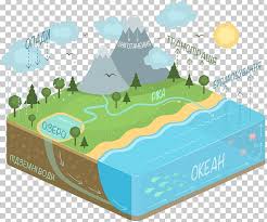 Water Cycle Diagram Condensation Evaporation Png Clipart