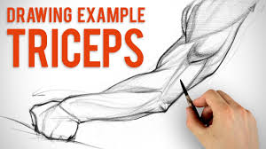 How To Draw Arms Triceps Assignment Example Youtube Drawing lessons for beginner to advanced artists. how to draw arms triceps assignment example