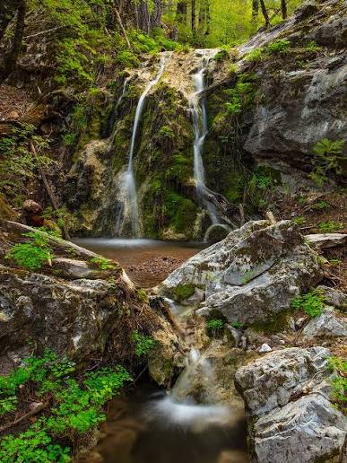 The Unexpected Nature of Arizona | Arizona Highways