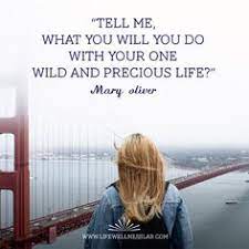  One Life San Francisco Bridge Golden Gate Precious Life Wild Free Young Travel Blond Jeans Inspirati San Francisco Quotes Bridge Quotes Photo Quotes