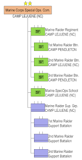 File Us Marine Corps Forces Special Operations Command Png