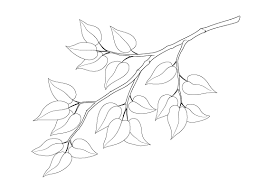 Maybe you would like to learn more about one of these? How To Draw A Tree Branch With Leaves Easydrawingtips
