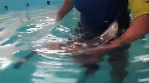 Eagle ray — noun powerful free swimming tropical ray noted for soaring by flapping winglike fins; Spotted Eagle Ray Gives Birth At Atlantis The Palm Youtube