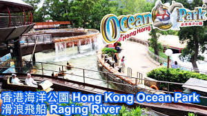 香港海洋公園hong kong ocean park 滑浪飛船raging river in 2021 ocean park ocean hong kong