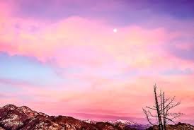 Sky aesthetic summer aesthetic travel aesthetic aesthetic vintage aesthetic outfit aesthetic grunge aesthetic clothes aesthetic pastel wallpaper landscape illustration food diy art lol style lifestyle decor street stylevintage television tech science sports prose poetry nail art music fashion. Aesthetic Vintage Background Pinterest Landscape Novocom Top