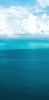 Veronica Augustus-Appleby Director of Human Resources