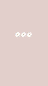 Insta Aestehtic Wallpapersxoxo Daisy Wallpaper Phone Wallpaper Images Simple Iphone Wallpaper