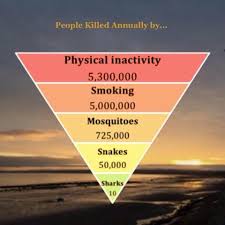 Es kann sein, von schlechten ernährungsgewohnheiten, bewegungsmangel oder kinder haben. Being Lazy Can Kill You Physical Inactivity Responsible For 5 Millions Deaths Every Year Physical Inactivity Physics Medical Journals