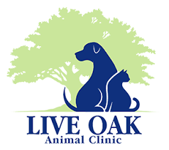 Maybe you would like to learn more about one of these? Veterinarian In Summerfield Fl Live Oak Animal Clinic