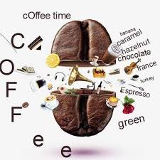 As of september 2020, the company had 32,660 stores in 83 countries, including 16,637 company operated stores and 16,023. Barista Choi Vending Machines Barisin Elcisi Tahir Elci Pages Directory