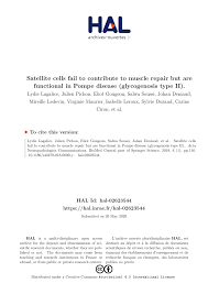 Cet article se veut donc une. Pdf Satellite Cells Fail To Contribute To Muscle Repair But Are Functional In Pompe Disease Glycogenosis Type Ii