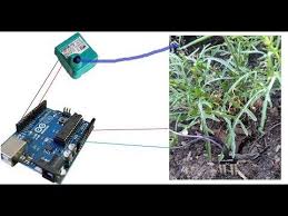Bewasserungsanlage Fur Zimmerpflanzen Selber Bauen Arduino Projekte 1 Youtube Bewasserungsanlage Arduino Projekte Bewasserung