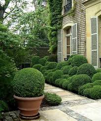 Front Door Fashion 9 Ways To Create Curb Appeal With Boxwood Gardenista Boxwood Landscaping Boxwood Garden Outdoor Gardens