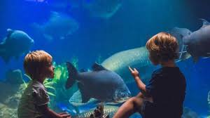 Petition Stop The Aquarium Coming To Woodbridge Mall Change Org