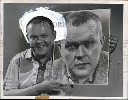 Don Robertson (author)