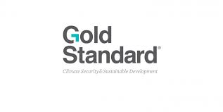 Standard synonyms, standard pronunciation, standard translation, english dictionary definition of standard. The Gold Standard Umweltbundesamt