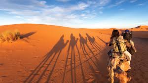 There are two types of camels: How To Ride A Camel Like A Pro In Morocco Intrepid Travel Blog