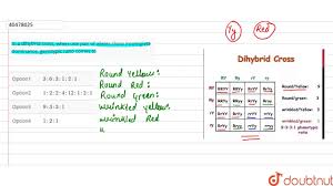 From punnett square in the offspring we have genotype ratio and probability: In A Dihybrid Cross When One Pair Of Alleles Show Incomplete Dominance Genotypic Ratio Comes To Youtube