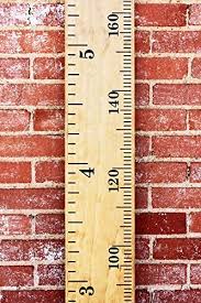 Diy Vinyl Growth Chart Ruler Decal Kit Metric Combination