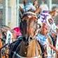 Collie Harness Racing event image