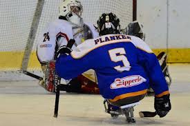 Questi giochi furono i primi della categoria paralimpica (estivi e invernali) che inclusero anche altri atleti oltre quelli sulla sedia a rotelle. Le Paralimpiadi Invernali Al Via Parla Il Portabandiera Azzurro Planker