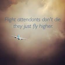 Flight Attendants Don T Die Flight Attendant Quotes Flight Attendant Flight Attendant Life