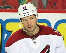 The arizona coyotes (colloquially known as the yotes) are a professional ice hockey team based in the phoenix metropolitan area. Arizona Coyotes Wikipedia