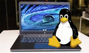 How To Install Linux On Your Chromebook