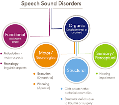 Speech Sound Disorders Articulation And Phonology Overview