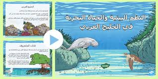 بوربوينت النظم البيئية والحياة البحرية في