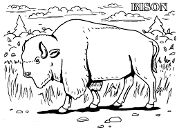 Please leave a comment below! Grassland Animals Coloring Pages Coloring Home