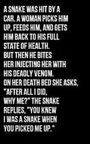 Never Bite The Hand That Feeds You Meaning Real Talk Fake People Quotes True Colors Quotes Snake Quotes