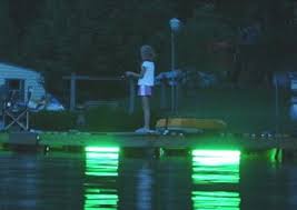Hydro Glow Dm260 120v Dock Mounted Fishing Light Green Fish Light