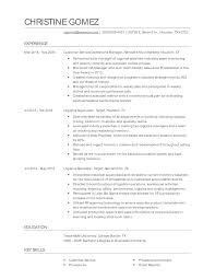 support manager resume examples and