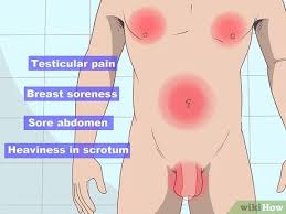 Testicular cancer is a highly curable cancer that develops in the testicles. How To Diagnose Testicular Cancer 15 Steps With Pictures