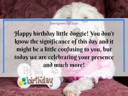 Happy birthday my dear pet dog! 50 Best Happy Birthday Dog Wishes With Images Events Greetings