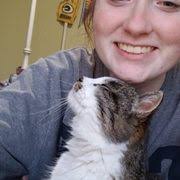 LIZ MCCABE PETSITTING