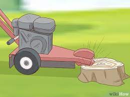 It was quickly propagated and grown remove water spouts and internal crossing branches. How To Kill Crepe Myrtle With Pictures Wikihow