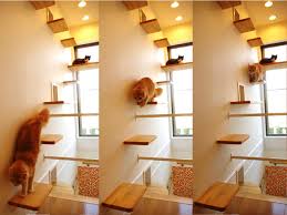 Let your pet be your muse 19 Pet House Design Ideas Cat House Cat Furniture House Design