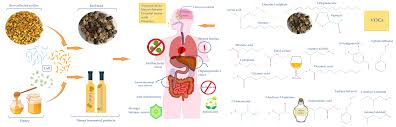 We did not find results for: Processes Free Full Text Impact Of Fermentation Processes On The Bioactive Profile And Health Promoting Properties Of Bee Bread Mead And Honey Vinegar Html