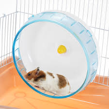 Do ultrasonic rodent repellers work? well, the answer is not that simple. 8 3inch Hamster Wheel Guinea Pigs Rat Exercise Wheel Spinner Pp Run Disc Small Animal Pet Toys Exercise Wheels Aliexpress